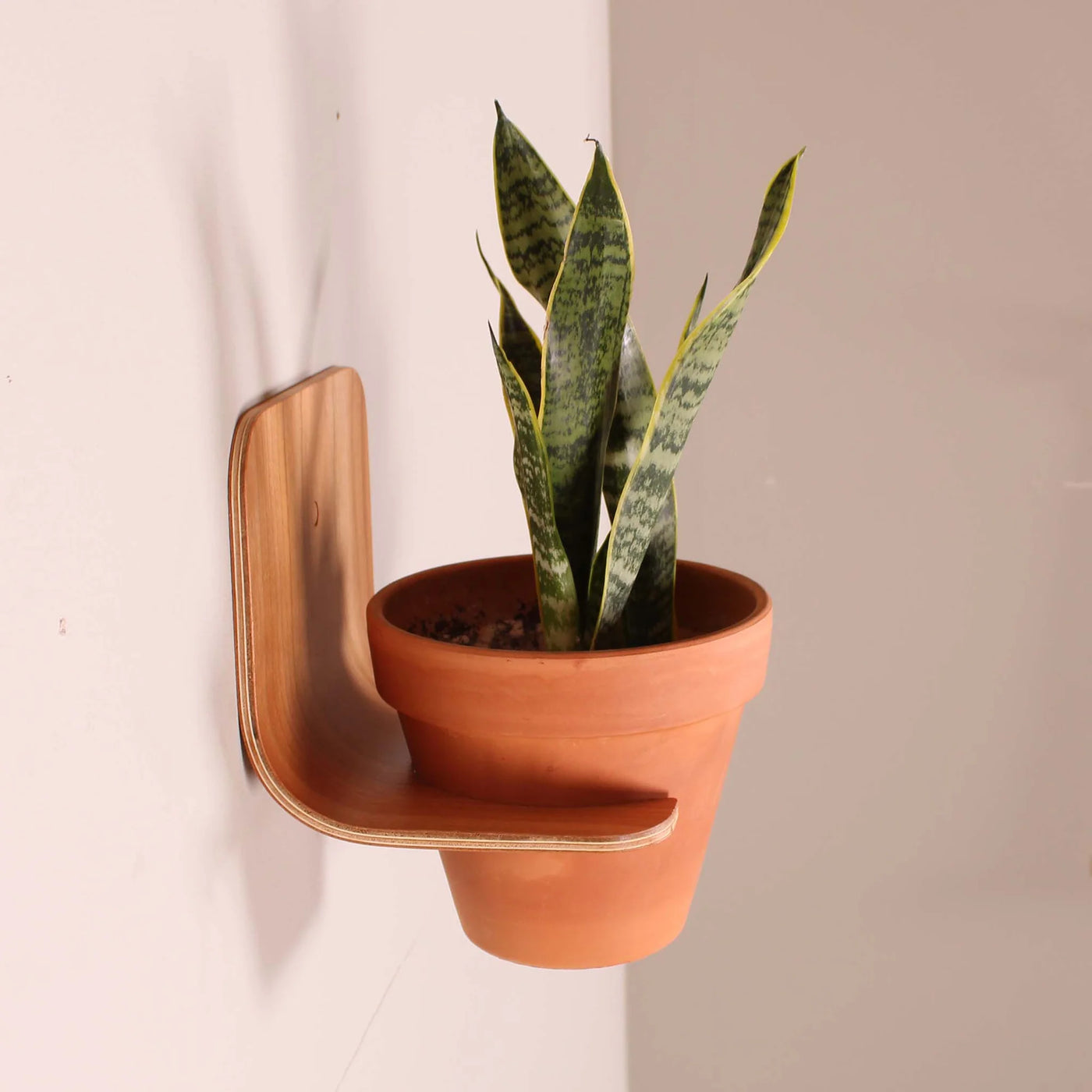 Plantenhouder als duurzaam 3D-geprint woonaccessoire